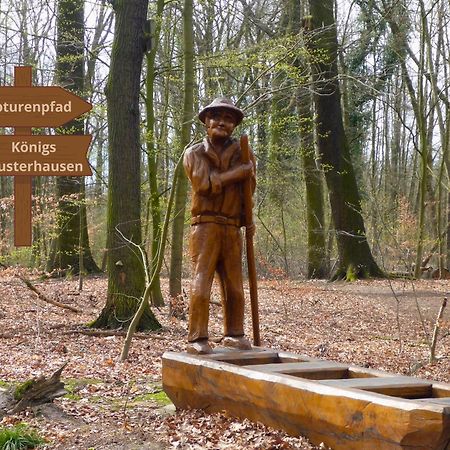 Relaxrefugium Luxus - Kueche, Arbeitsplaetze, Stellplatz & Komfort Fuer Bis 6 Gaeste Koenigs Wusterhausen Bagian luar foto
